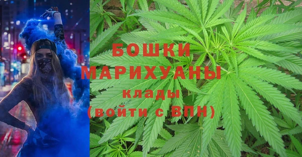 PSILOCYBIN Алексин
